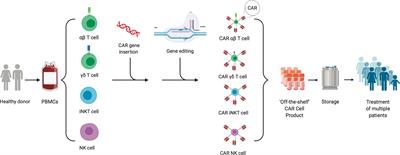 Frontiers | Allogeneic CAR Cell Therapy—More Than A Pipe Dream